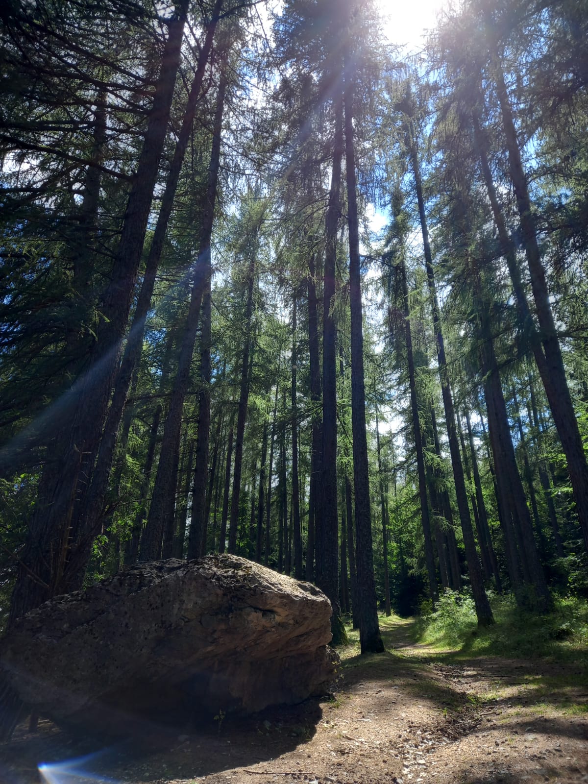 IMG-20250731-WA0014